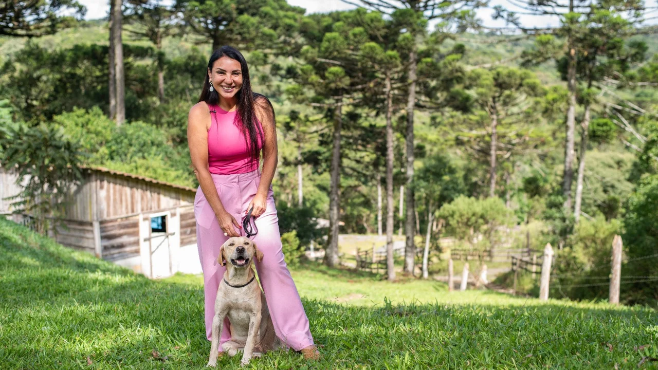 Prefeitura de Paranaguá inicia projeto piloto com cão resgatado que será treinado para terapia com crianças