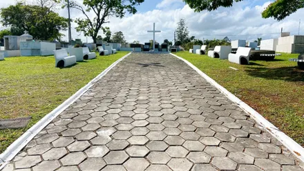 Imagem da galeria da noticia