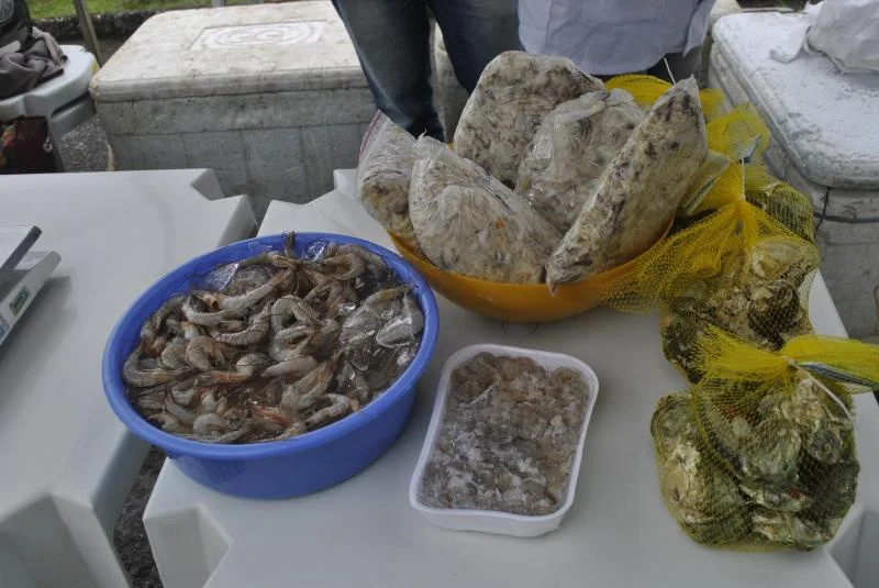 Feira do Peixe de Cultivo será realizada nos dias 28 e 29
