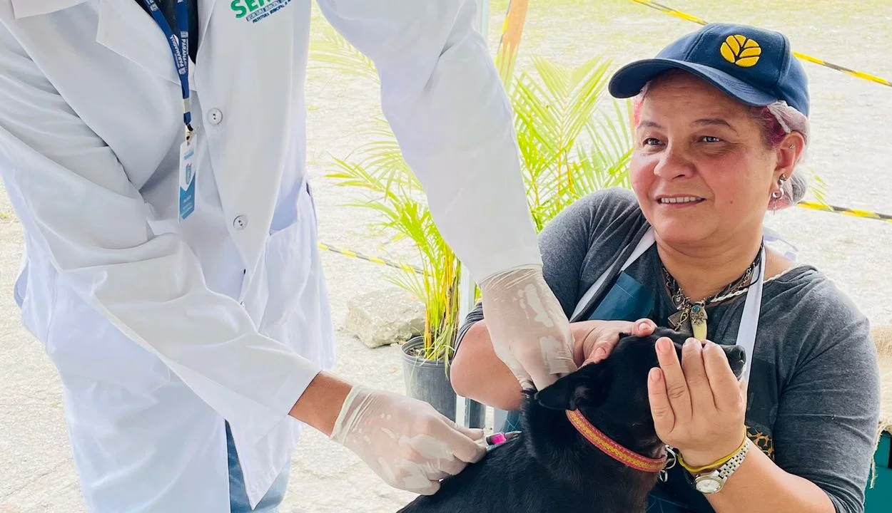 Semma realiza campanha de vacinação contra a raiva