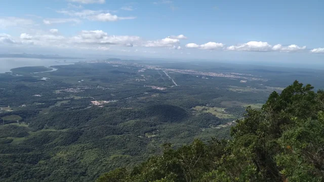 Dia da Mata Atlântica é celebrado em Paranaguá