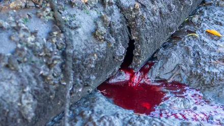 Imagem da galeria da noticia
