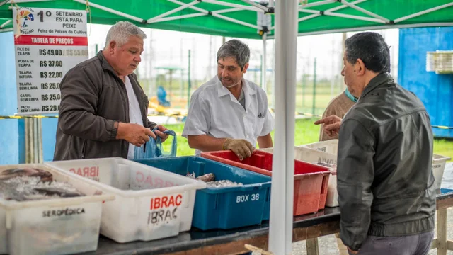 Prefeitura de Paranaguá realiza feira inédita que movimenta a produção local de peixes e valoriza produtores