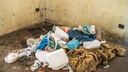 Imagem da galeria da noticia