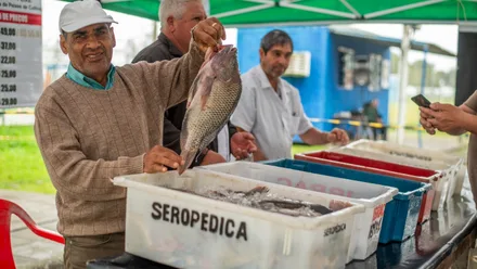 Imagem da galeria da noticia