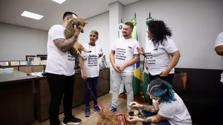 Imagem da galeria da noticia