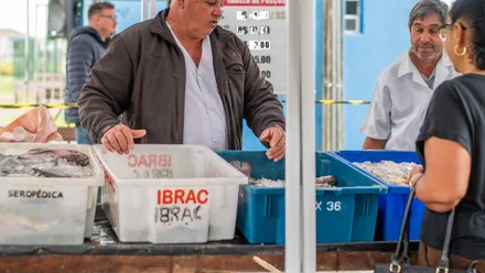 Imagem da galeria da noticia