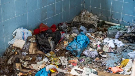 Imagem da galeria da noticia