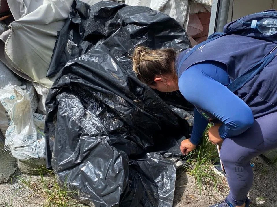 Secretaria Municipal de Saúde intensifica ações de combate ao mosquito da dengue em Paranaguá