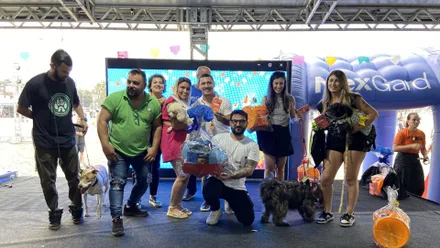 Imagem da galeria da noticia