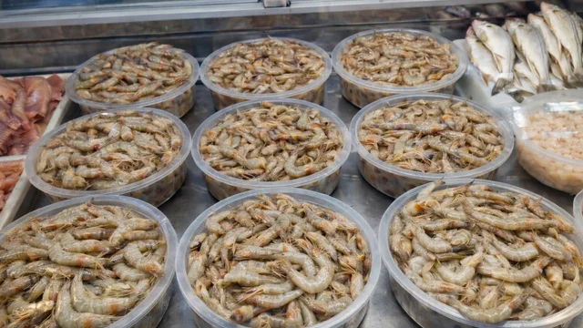 Defeso do camarão começa nesta quarta-feira (28) e reforça importância da pesca sustentável em Paranaguá