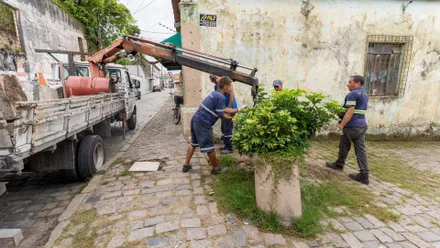Imagem da galeria da noticia