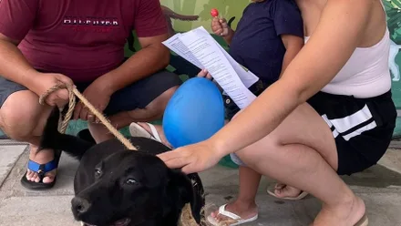 Imagem da galeria da noticia