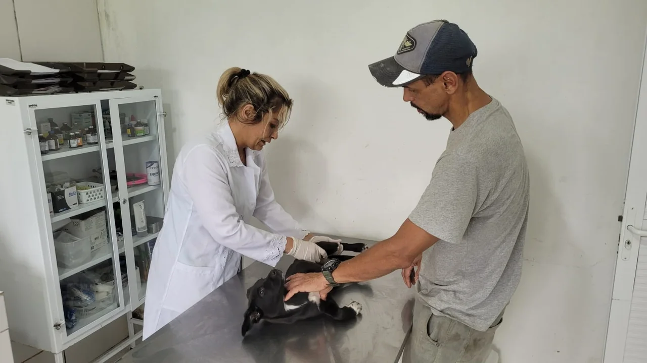 Conheça os serviços da Secretaria Municipal de Meio Ambiente para proteção e bem-estar animal