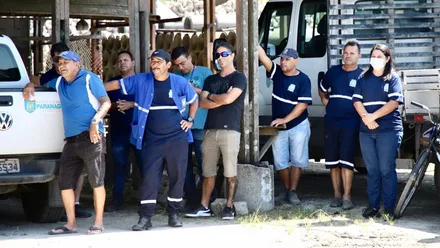 Imagem da galeria da noticia