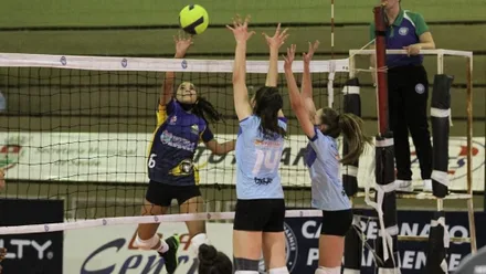 Imagem da galeria da noticia