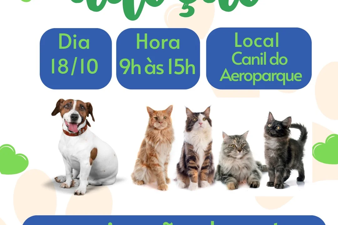 Feira de Adoção garante novos lares para cães e gatos