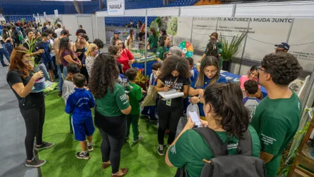 Imagem da galeria da noticia