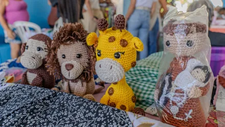Imagem da galeria da noticia