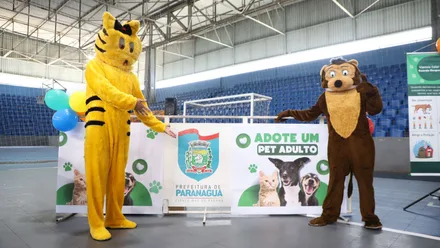 Imagem da galeria da noticia