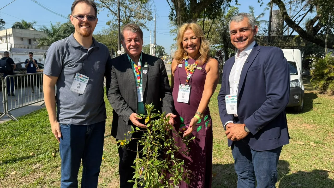 Paranaguá recebe reconhecimento internacional pelo trabalho de arborização urbana