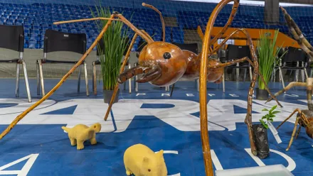 Imagem da galeria da noticia