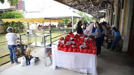 Imagem da galeria da noticia
