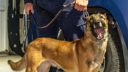 Imagem da galeria da noticia