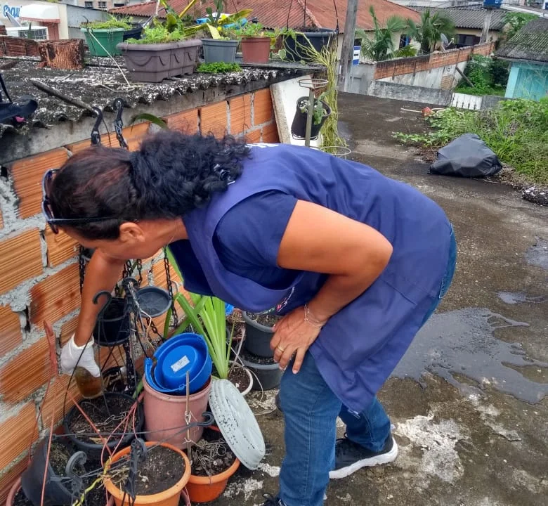 Últimos boletins da Secretaria de Estado da Saúde registram apenas dois novos casos de dengue em 45 dias