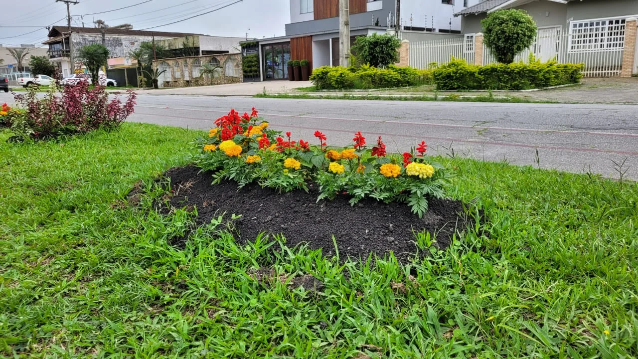 Paranaguá mais colorida e arborizada