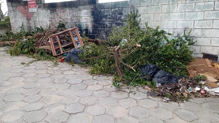 Imagem da galeria da noticia