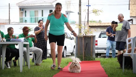 Imagem da galeria da noticia