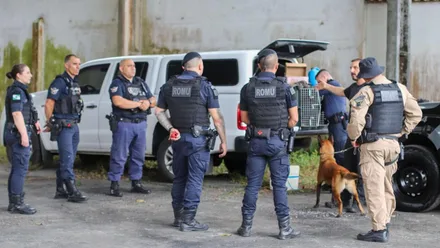 Imagem da galeria da noticia