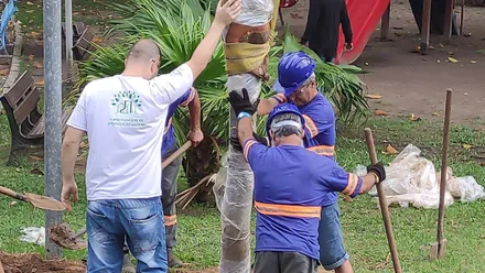 Imagem da galeria da noticia