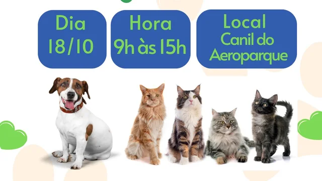 Feira de Adoção garante novos lares para cães e gatos