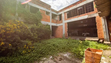 Imagem da galeria da noticia