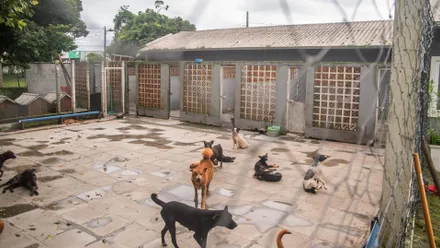 Imagem da galeria da noticia