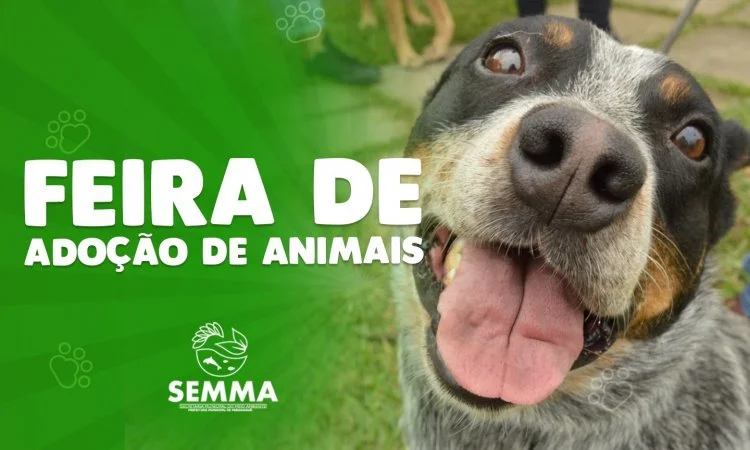 Meio Ambiente prepara feira de adoção de animais neste final de semana