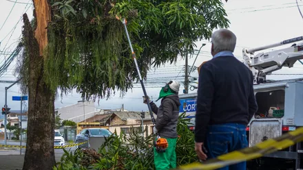 Imagem da galeria da noticia