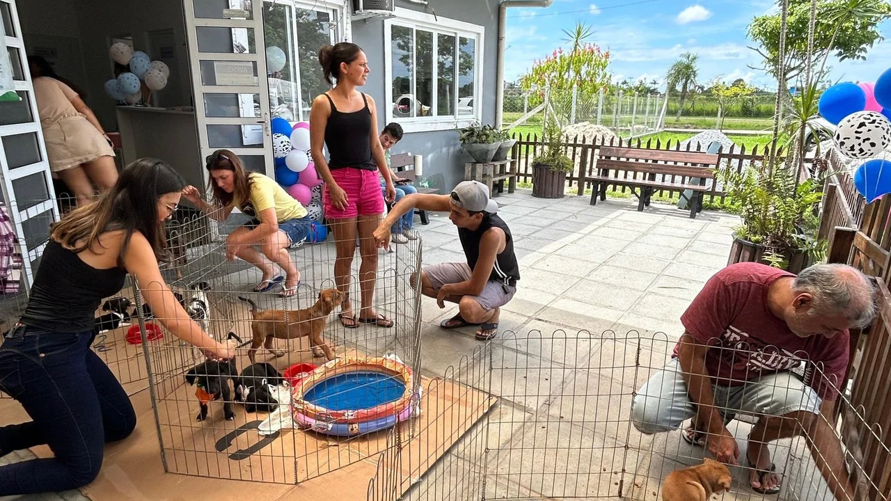 Sábado, 22 de março, acontece a Feira de Adoção de Animais no Aeroparque