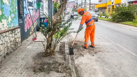 Imagem da galeria da noticia