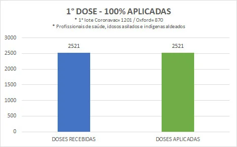 Vacina contra o coronavírus: 87% das doses recebidas já foram aplicadas