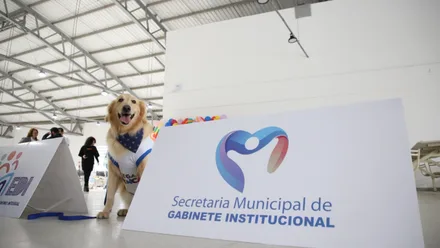 Imagem da galeria da noticia