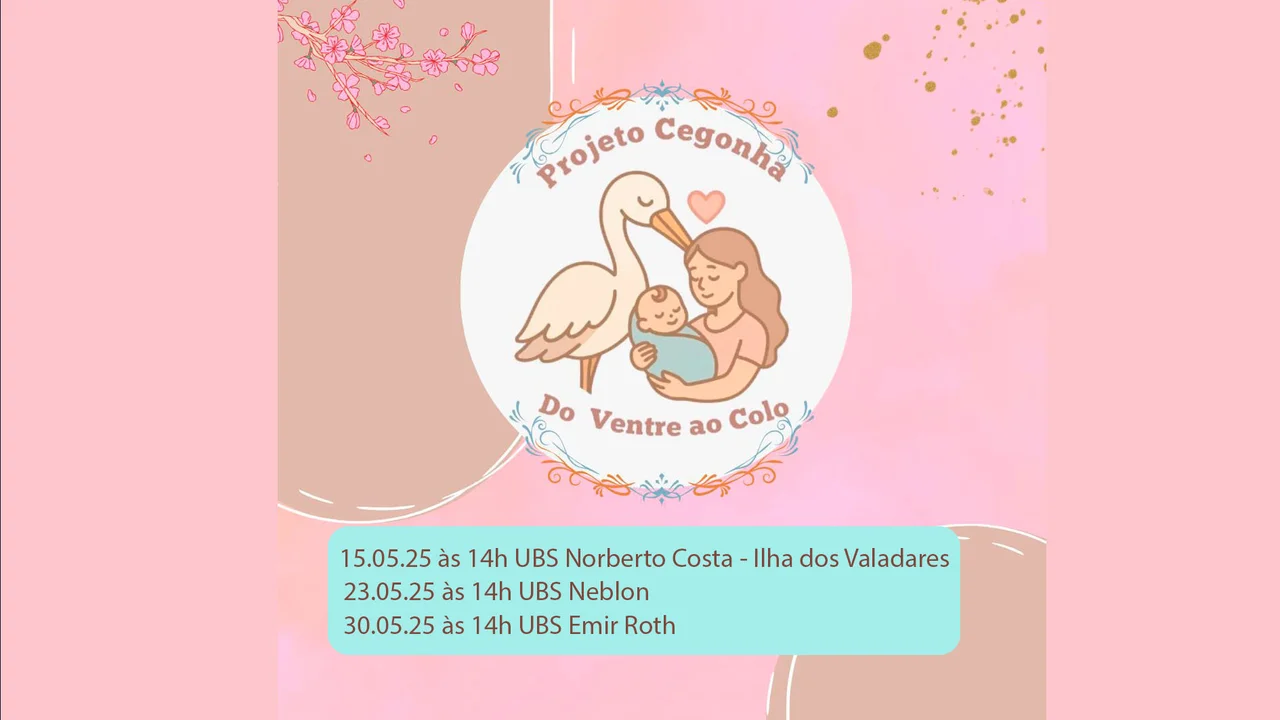 Projeto Cegonha promove acompanhamento multiprofissional para gestantes em situação de vulnerabilidade social