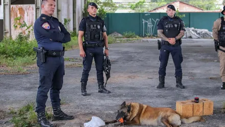 Imagem da galeria da noticia
