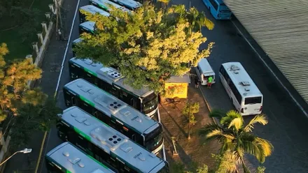 Imagem da galeria da noticia