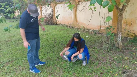 Imagem da galeria da noticia