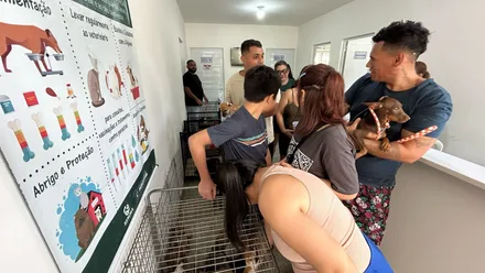 Imagem da galeria da noticia