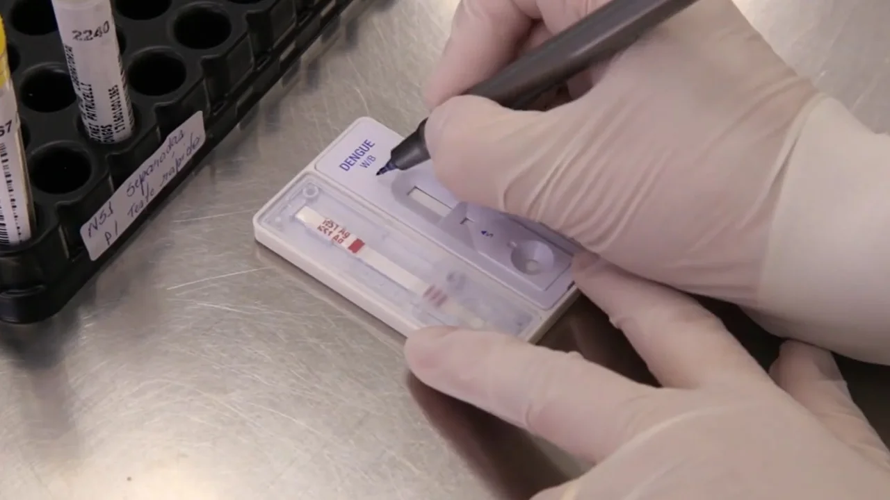 Teste rápido de dengue não deve ser usado como diagnóstico definitivo do paciente