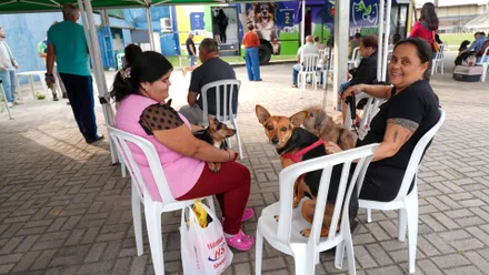 Imagem da galeria da noticia